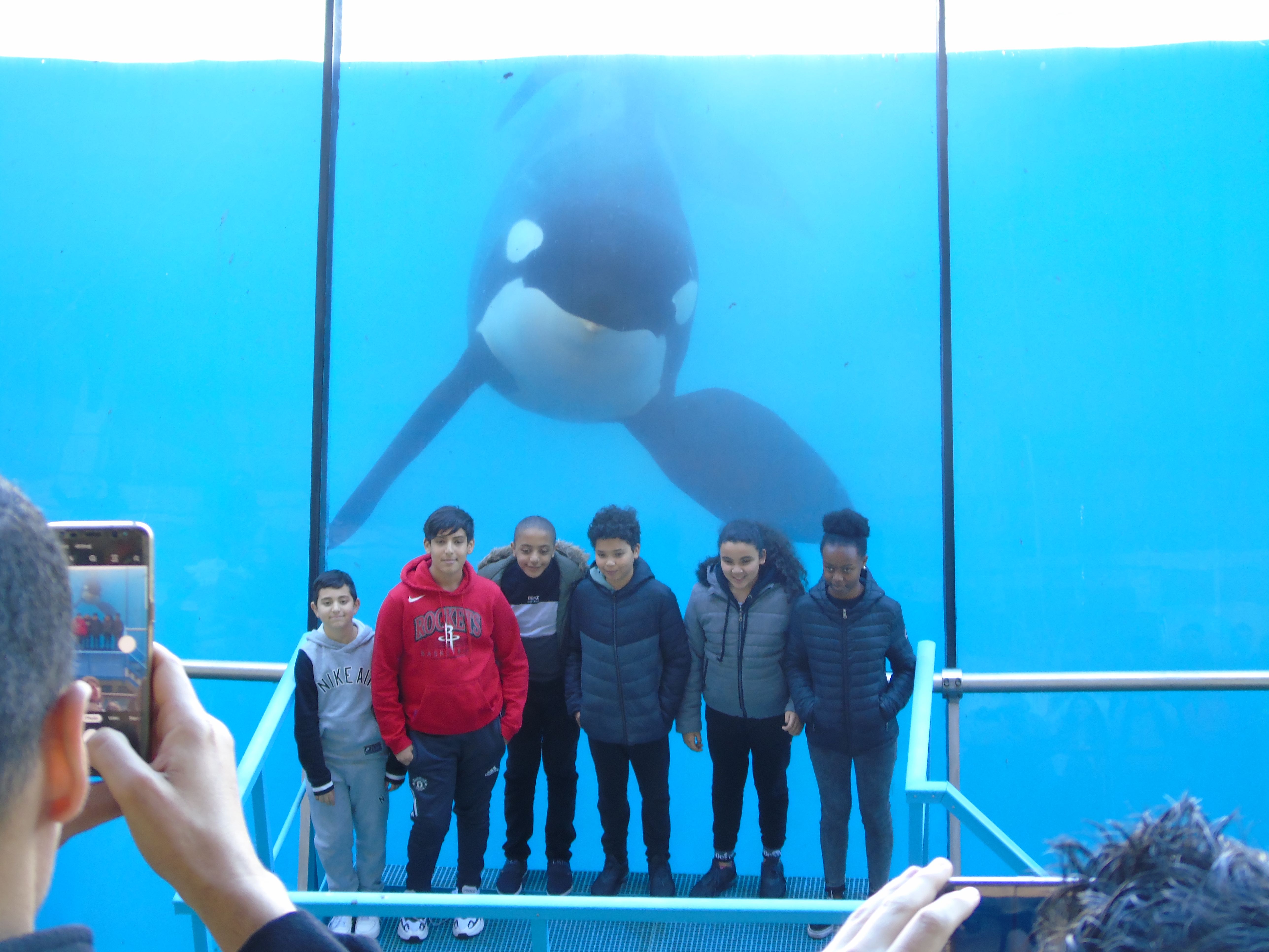 Marineland 2019
